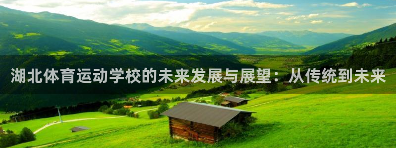 蜘蛛体育nba直播：湖北体育运动学校的未来发展与展望：从传统到未来