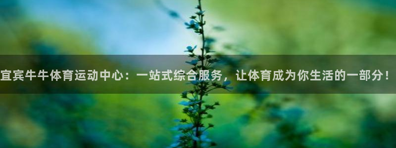 蜘蛛体育赛事直播：宜宾牛牛体育运动中心：一站式综合服务，让体育成为你生活的一部分！