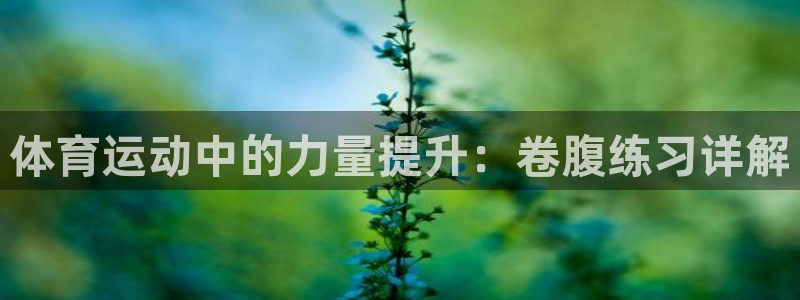 蜘蛛体育nba：体育运动中的力量提升：卷腹练习详解