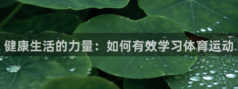 蜘蛛体育录像在线观看：健康生活的力量：如何有效学习体育运动