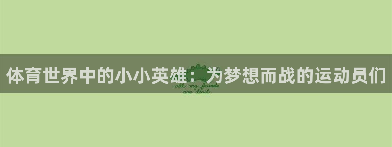 蜘蛛体育免费直播nbaxinrukou.zuixinwang.中国：体育世界中的小小英雄：为梦想而战的运动员们
