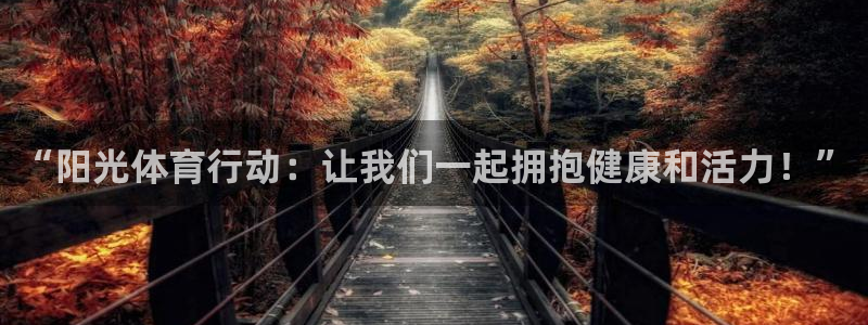 蜘蛛体育斯诺克：“阳光体育行动：让我们一起拥抱健康和活力！”
