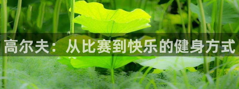 蜘蛛体育平台送88金.安卓好版本.中国：高尔夫：从比赛到快乐的健身方式